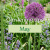 Garden tips for May