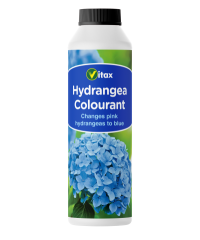 Hydrangea Colourant Image 1