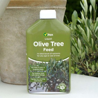 Olive Tree Liquid Feed Image 2