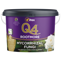Q4 Rootmore Image 2