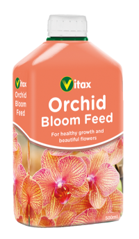 Orchid Bloom Feed Image 1