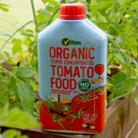 Organic Tomato Food Image 2
