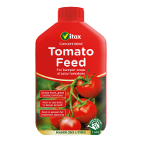 Tomato Feed Image 1