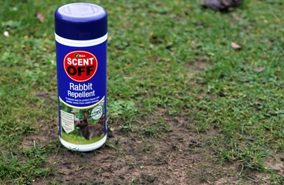 Rabbit lawns